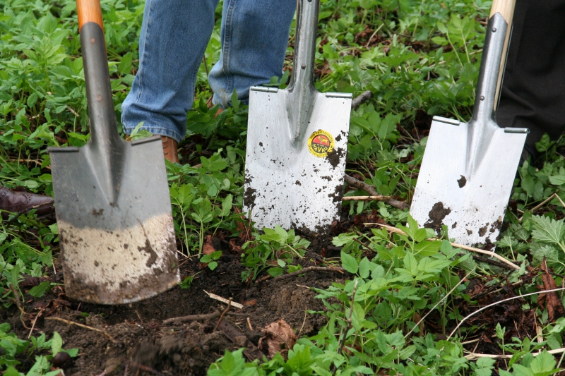 pepiniere-GONFARON-min_work-lawn-flower-tool-green-backyard-1103633-pxhere.com